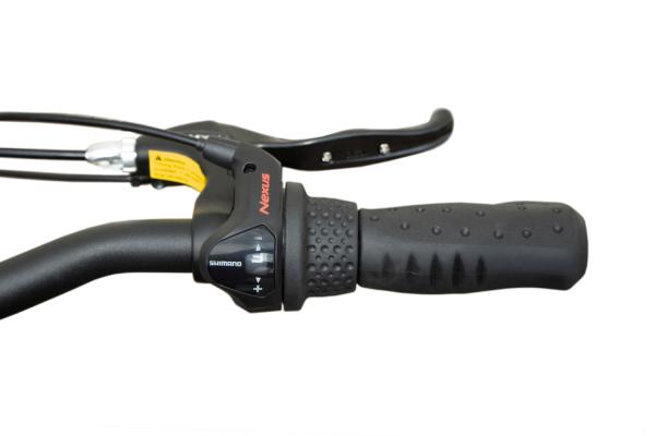 Elektrofahrrad Qivelo Easy City 250W Motor E-Bike Klapprad 20 Zoll 3-Gang Shimano Nexus